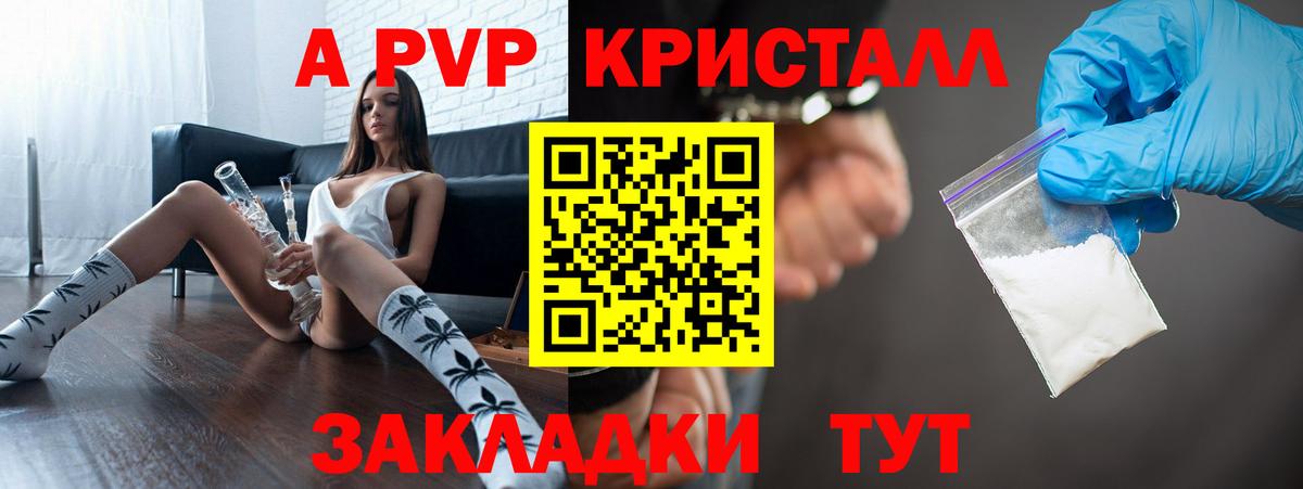 A PVP СК КРИС Курчатов