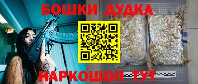 амф Гусев