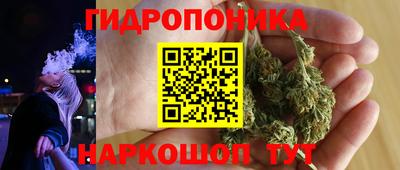 амф Гусев
