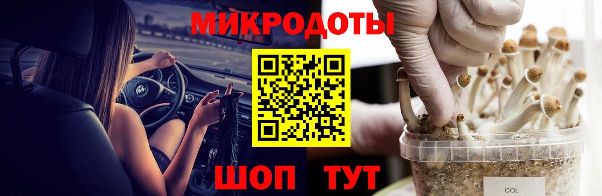 Псилоцибиновые грибы MAGIC MUSHROOMS Курчатов